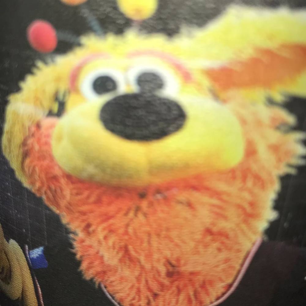 Meet your Posher, Charlie